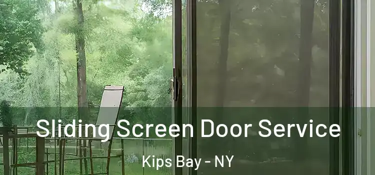  Sliding Screen Door Service Kips Bay - NY